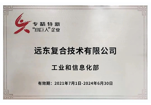 遠(yuǎn)東復(fù)合技術(shù)專(zhuān)精特新小巨人企業(yè)